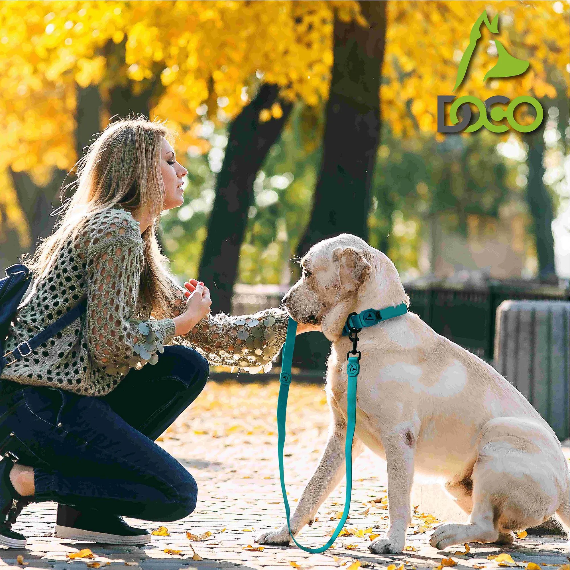 DOCO® Jelly Bean Nylon Dog Leash 6ft